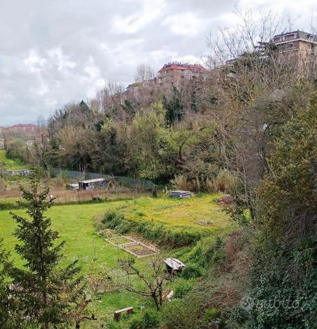 In Roma