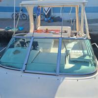 Sea ray 250 sundancer