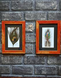 Set 2 quadri con piume dipinte