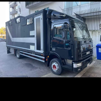 Eurocargo trasporto cavalli