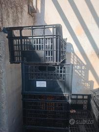 Rega/o cassette plastica 