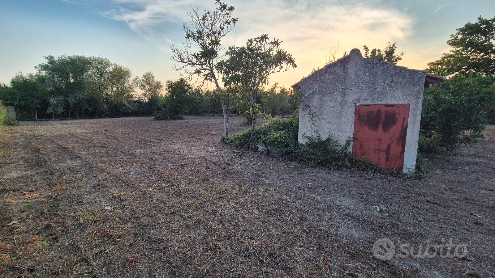 Terreno agricolo 2.462 mq con deposito di 14mq - Vista 3