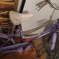 Bicicletta Cinzia ruote 20 pollici