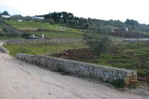 Terreno C/da Chiobbica Ostuni (BR)