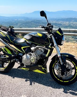Hornet 600 2005