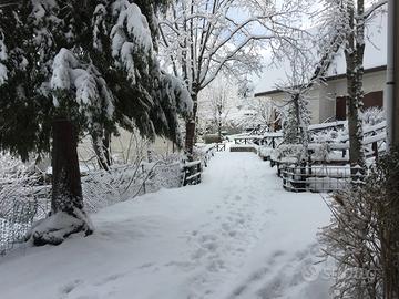 Natale. Capodanno Abetone Piandinovello Cutigliano