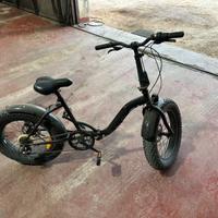 Bici fat bike