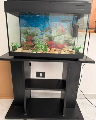 Acquario 60 l + mobiletto