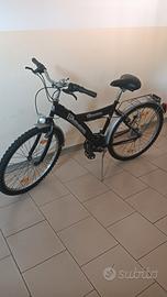 bicicletta 26