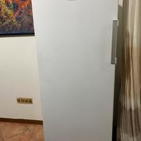 Congelatore ( no frost )