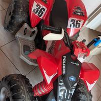 Quad peg perego