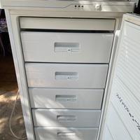 Congelatore verticale Ocean