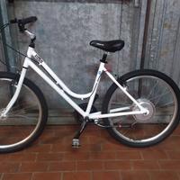 Bici a pedalata assistita