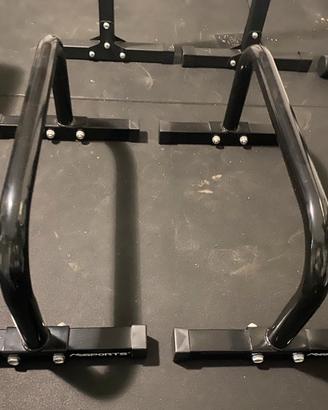 Parallettes calisthenics professionali