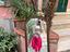 Immagine 2