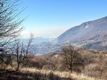 TER. AGRICOLO A CAPRINO VERONESE