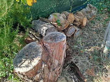 tronchi legno