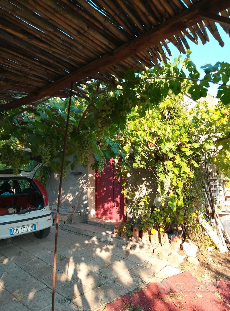 terreno con casa e gebbia - Altro