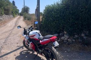 Yamaha tzr50