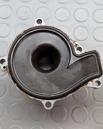 ALLOGGIAMENTO POMPA TRIUMPH STREET TRIPLE 675 2007