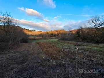 Terreno di 1 ettaro, coltivabile zona poggibonsi