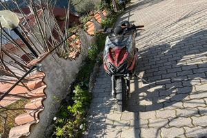 areox 86cc