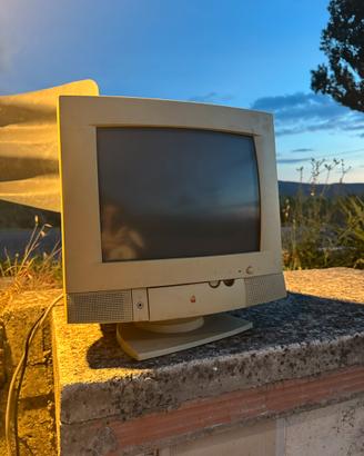 Monitor Pc Vintage Apple Multiple scan 14 Display