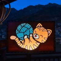 Lanterna/ Luce nanna Gatto