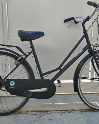 Biciclette da spiaggia 