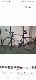 Bicicletta  BIANCHINIRONE  C2C