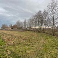 Legna da ardere