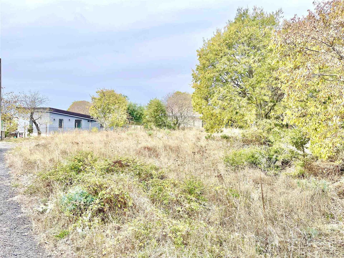 Rif.GL219| terreno agricolo belpasso - Altro