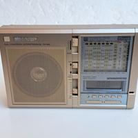 Radio Sharp Multi Band Deluxe FV-610GB - 10 Bands