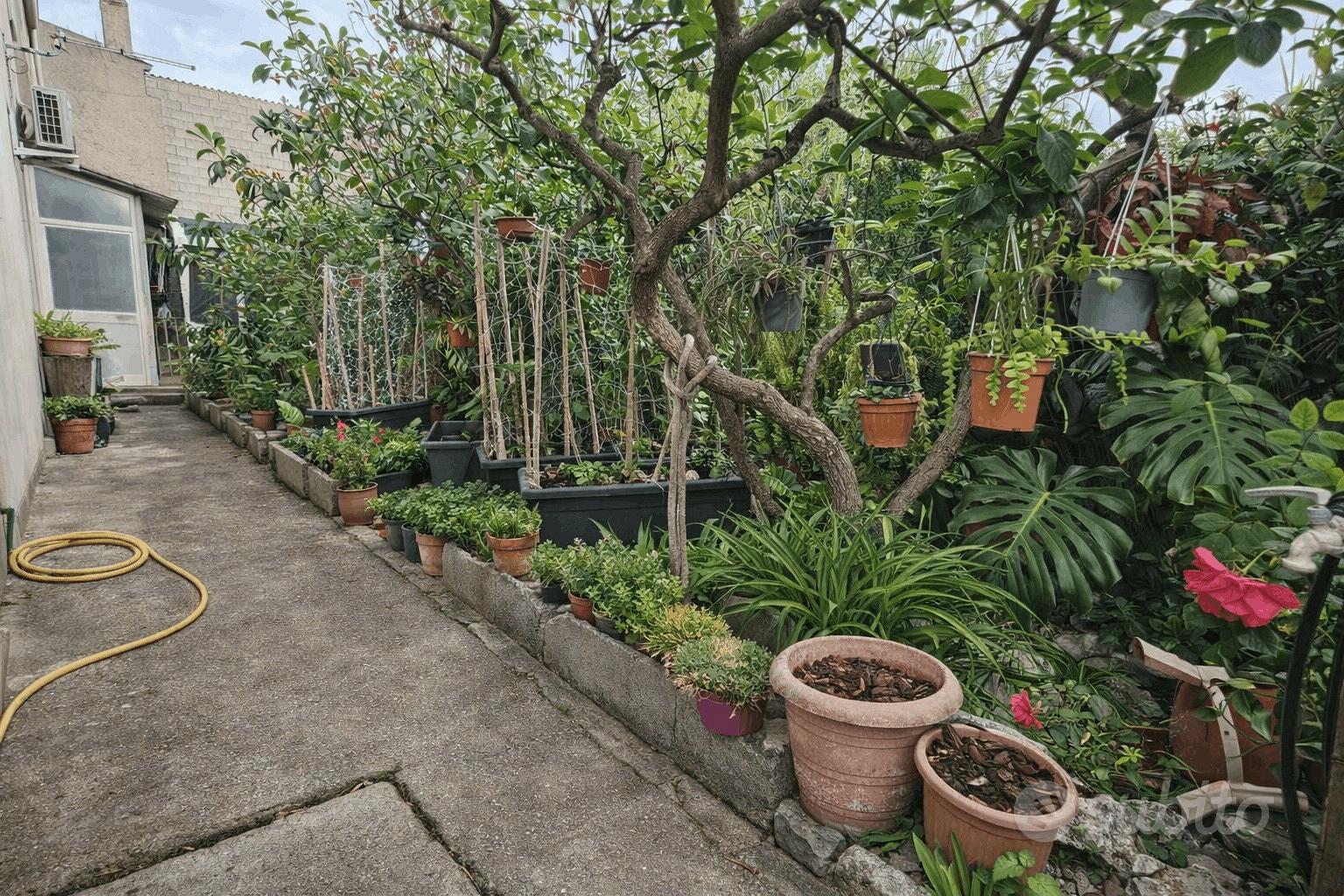 Apartment in Arborea, Torrevecchia - Vista 2