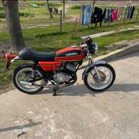 Benelli 250 2c