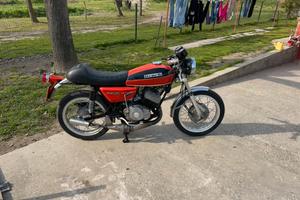 Benelli 250 2c