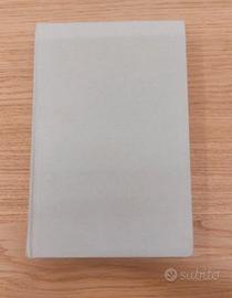 "il caso del contabile" di Maurizio Salabelle