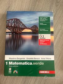 Libro matematica matematica verde