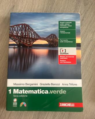 Libro matematica matematica verde