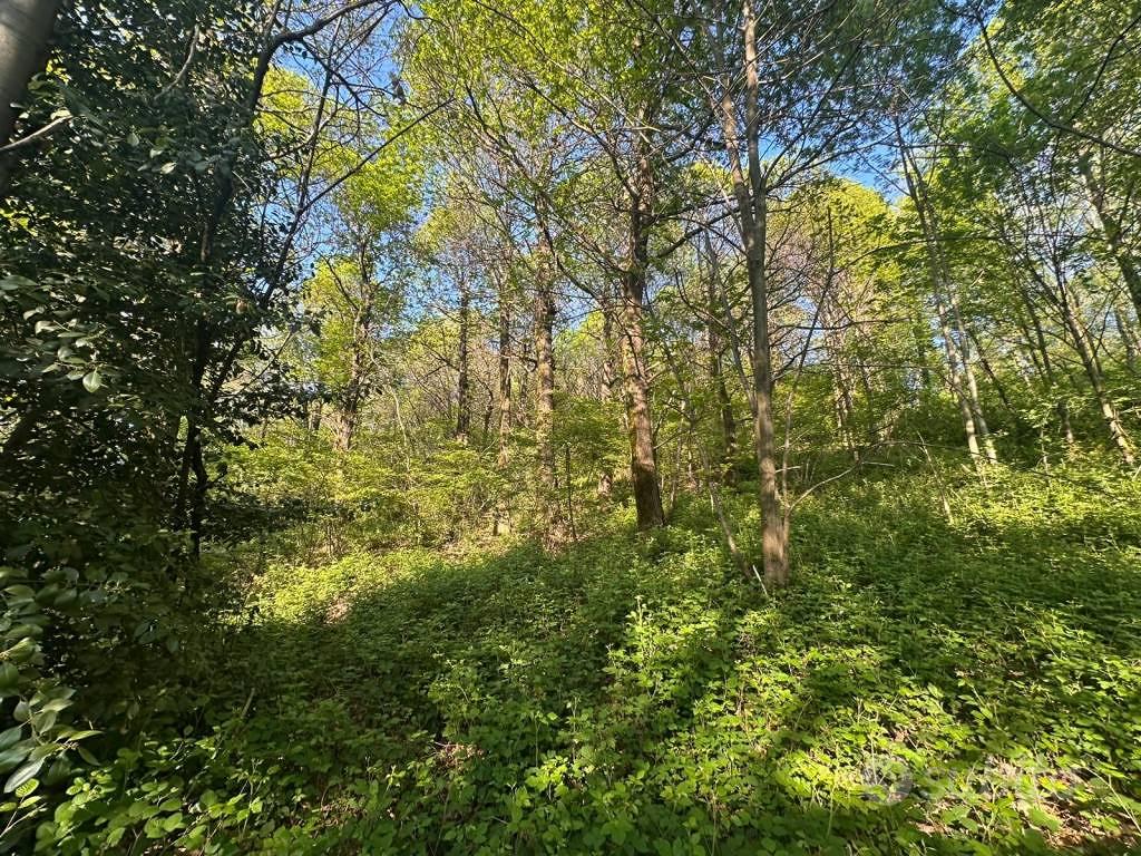 Terreno di 3310 m² a Galbiate - Altro