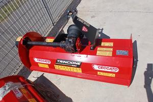 trince ceccato