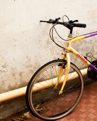 Mountain bike atala
