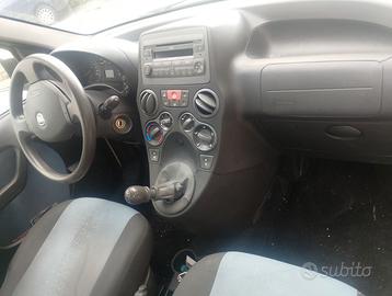 panda come nelle foto