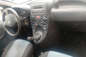 panda come nelle foto