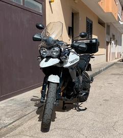 Triumph tiger 800