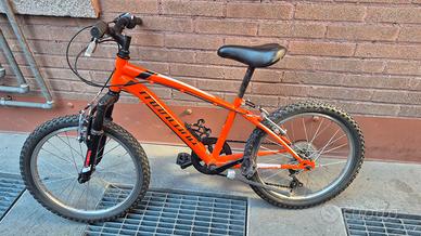 Bici raggio 20 Montana