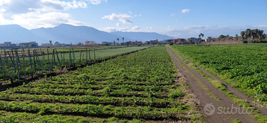 Fondo Agricolo di 2300mq Seminativo Irriguo