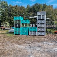 cassoneti per la frutta 