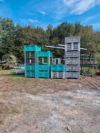 cassoneti per la frutta 