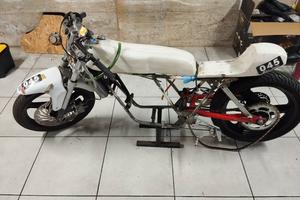 ciclistica stesino